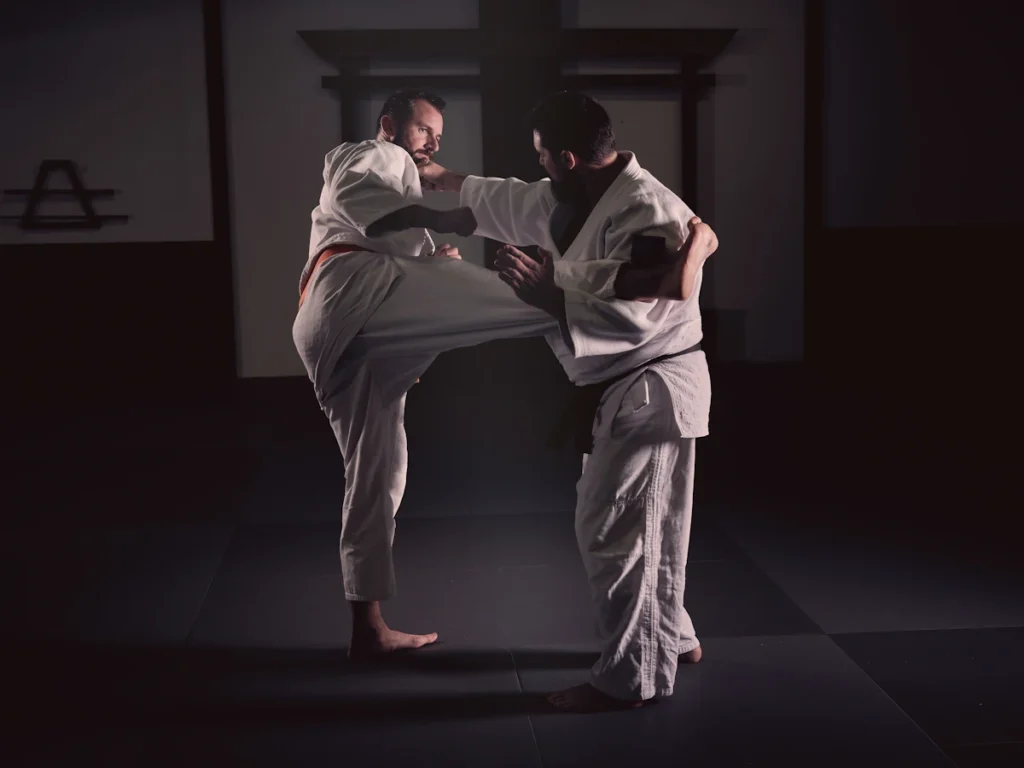 Des hommes adultes qui font du aïkido