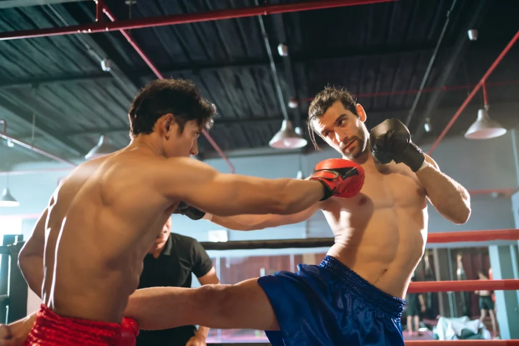 Des combattants de MMA